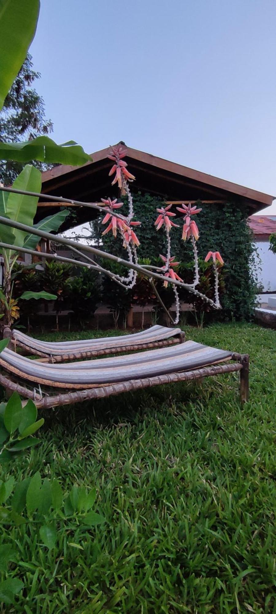 Garden Pearls Ξενοδοχείο Nungwi Εξωτερικό φωτογραφία